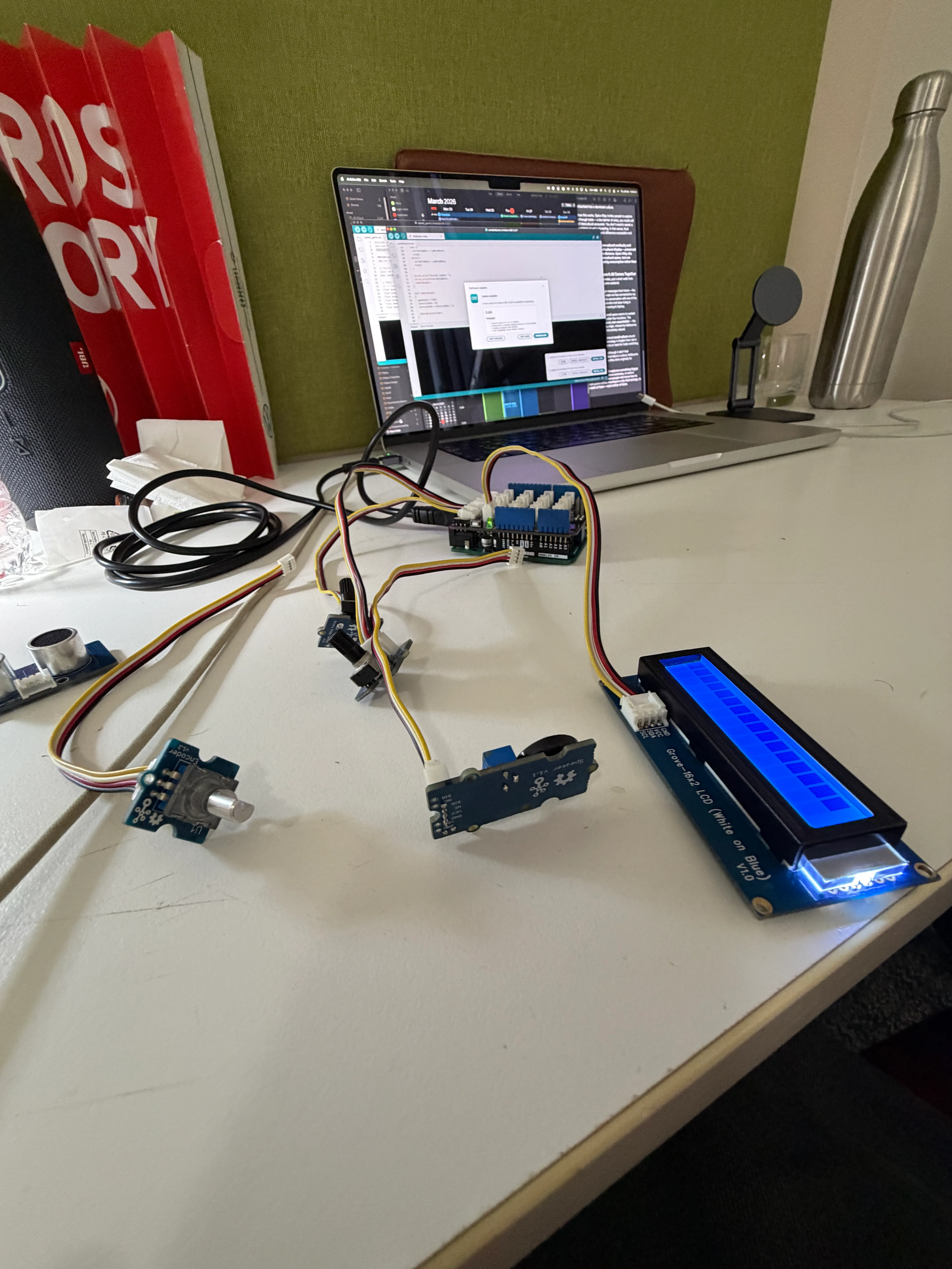 PPI individual project 2