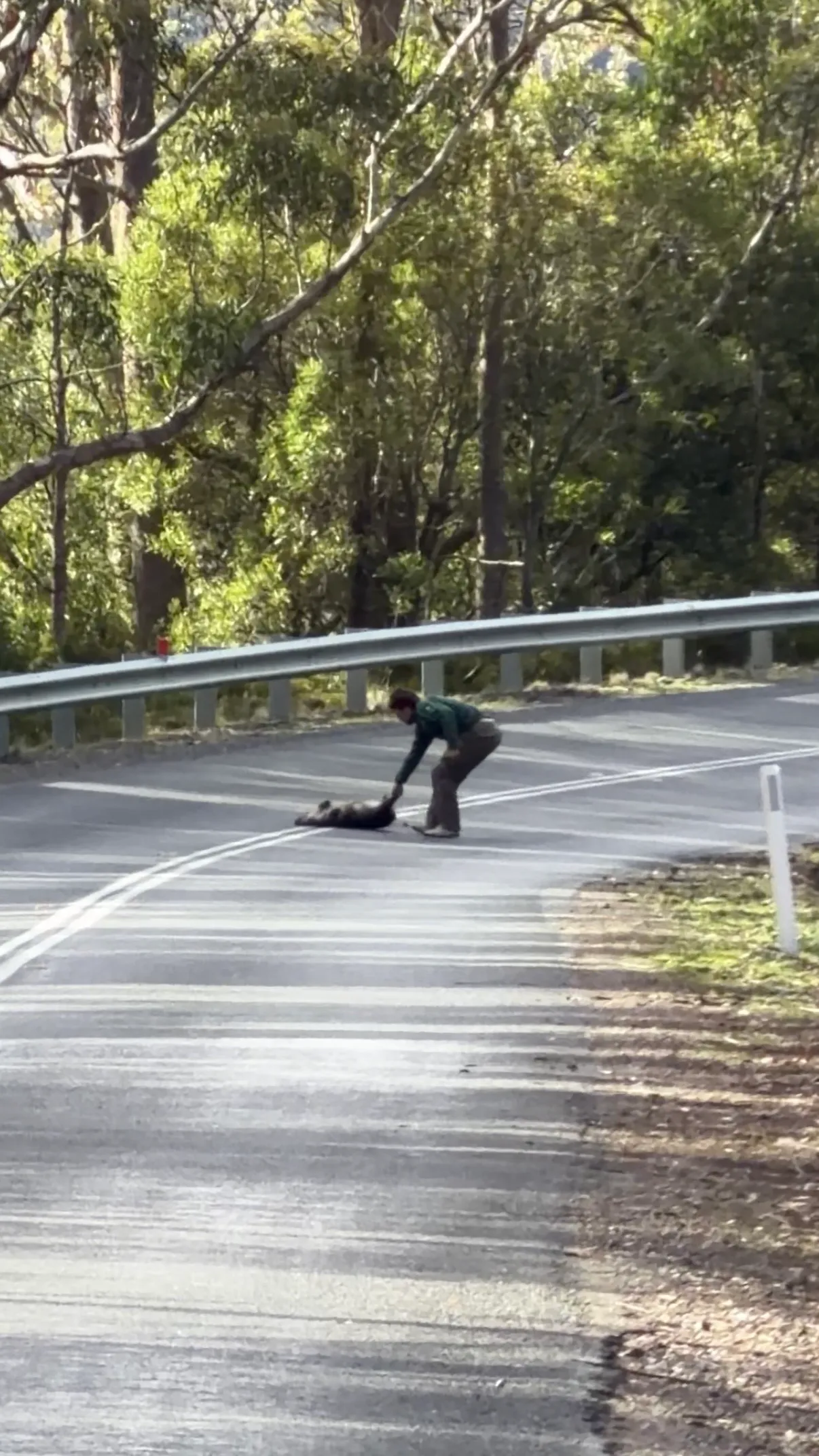 Not our roadkill