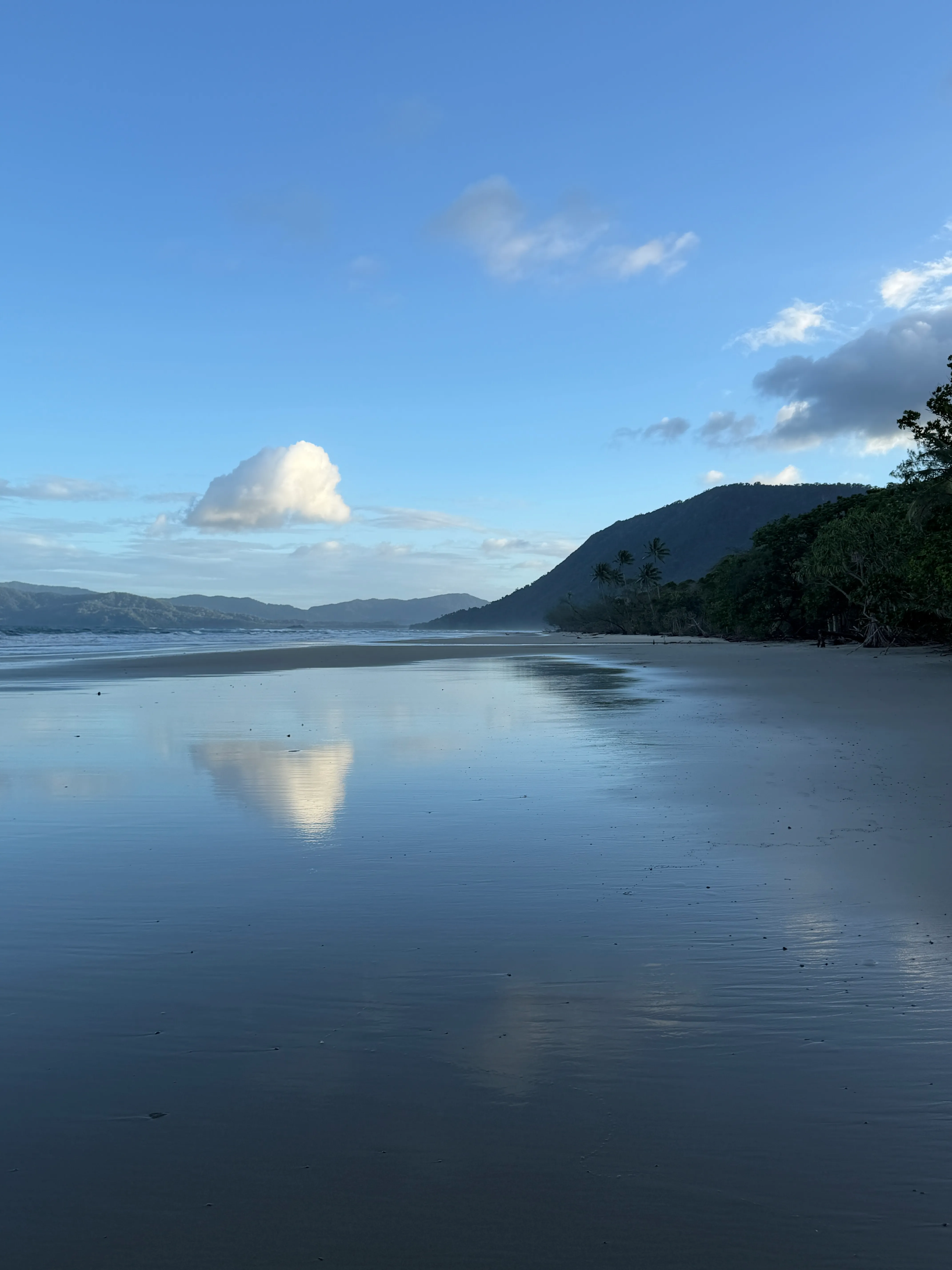 Noah Beach