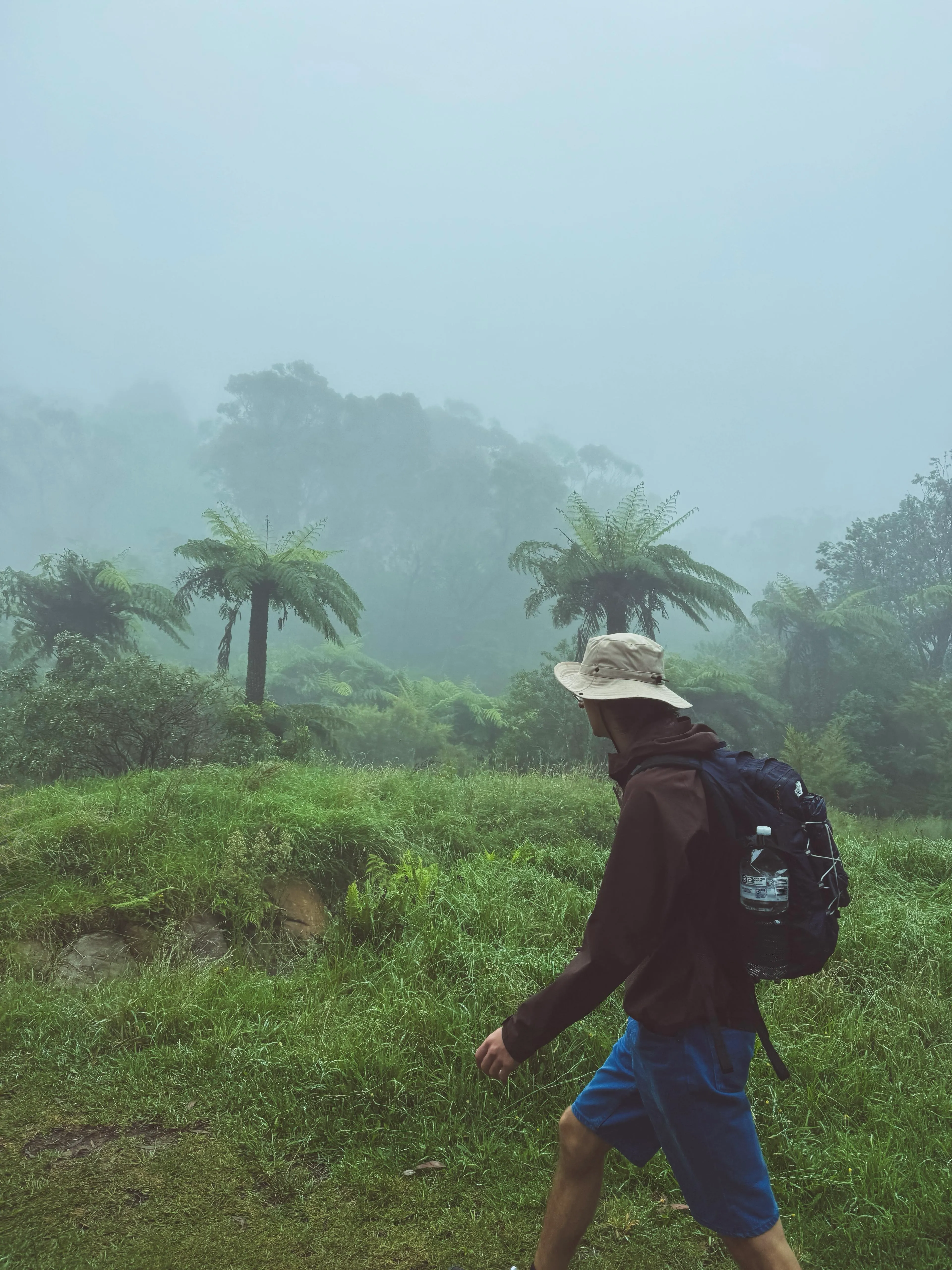 Nothing to do with Bodi