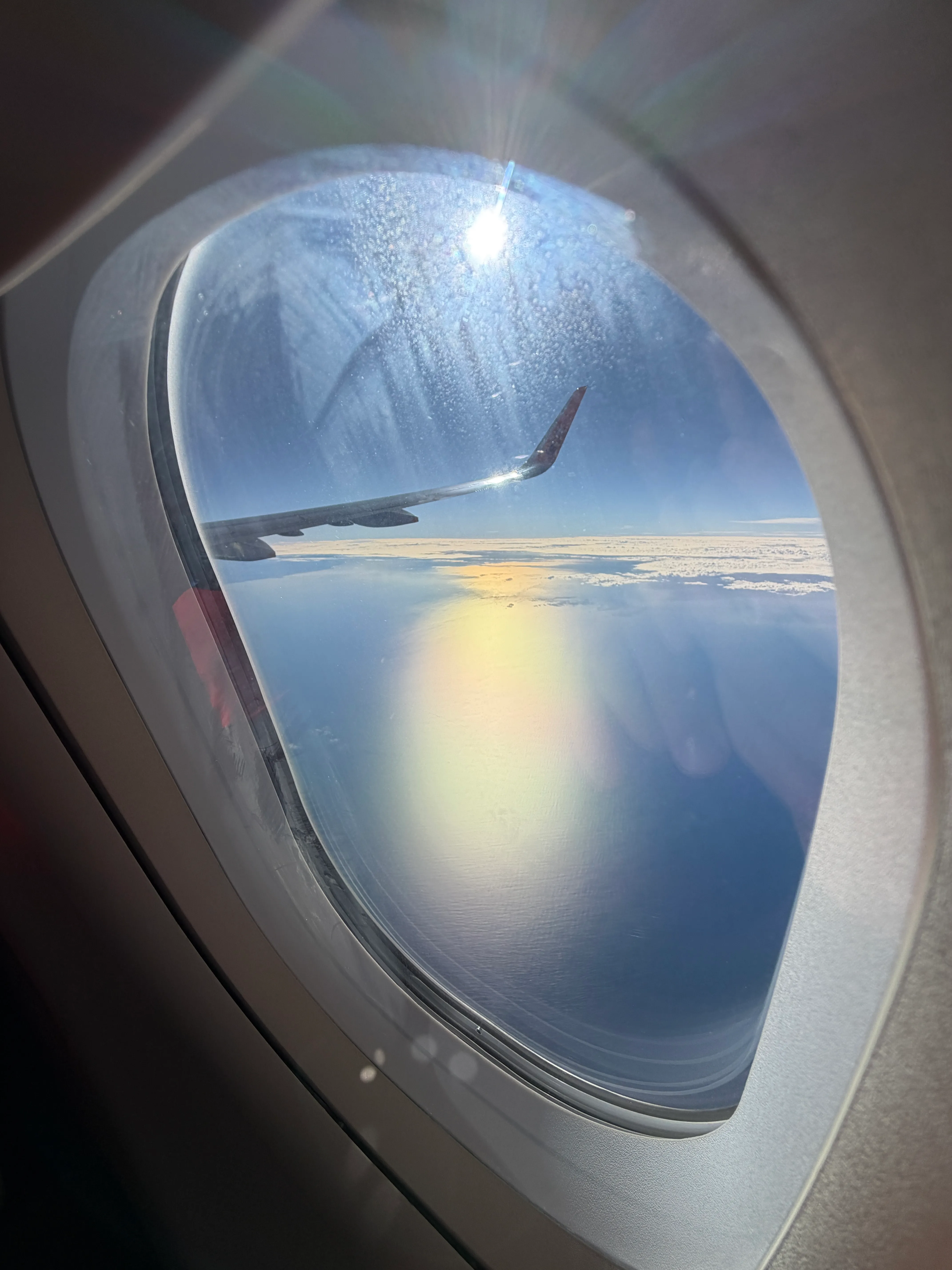Back home to Sydney